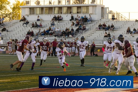 博天堂APP 体育赛事宣传图